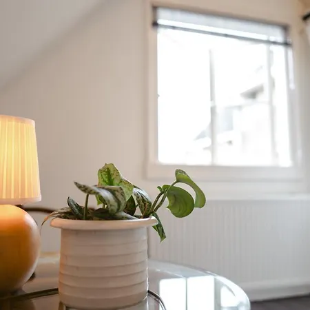 Elderflour & Microbakery Schiedam