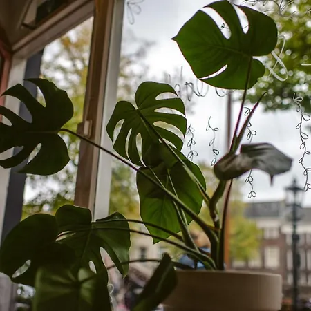 Bed & Breakfast Jeneverlogies Schiedam