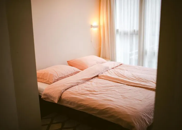 Elderflour & Microbakery Schiedam