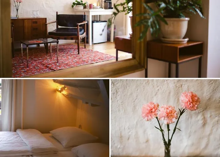 Bed and breakfast Elderflour & Microbakery Schiedam