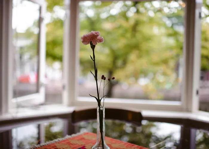 Elderflour & Microbakery לינה וארוחת בוקר