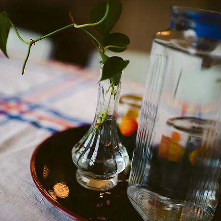 ベッド・アンド・ブレックファスト Elderflour & Microbakery