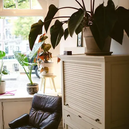 Elderflour & Microbakery スキーダム