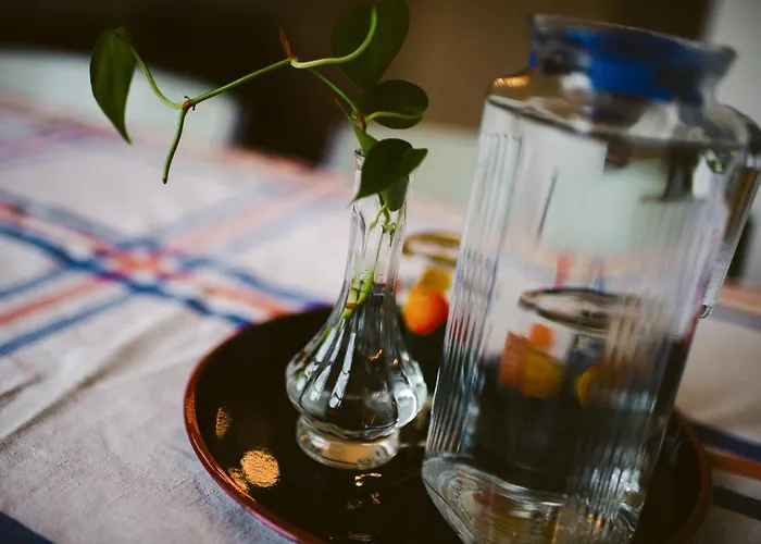 فندق مبيت وإفطار Elderflour & Microbakery