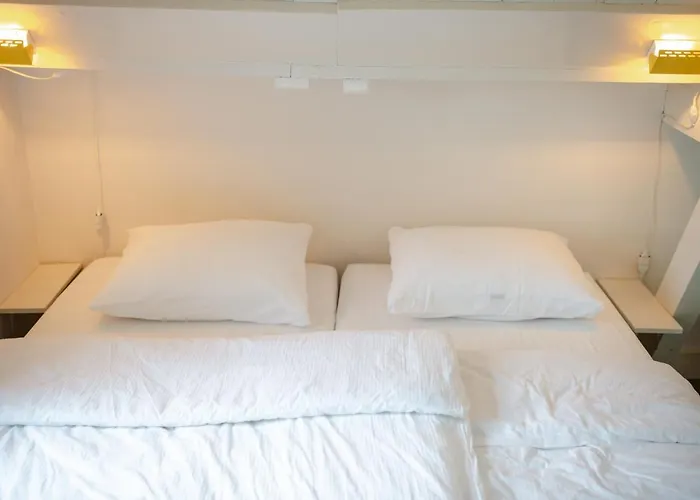 Elderflour & Microbakery سخيدام