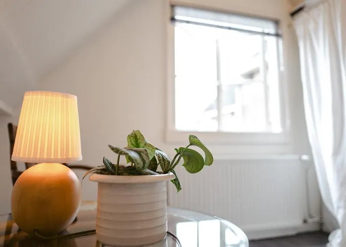 Elderflour & Microbakery سخيدام