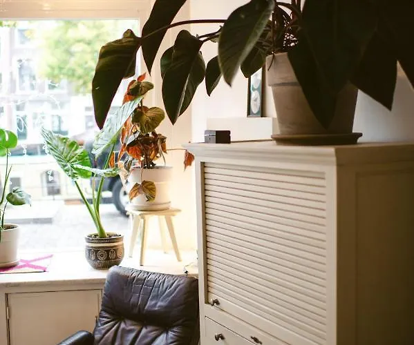 Elderflour & Microbakery سخيدام